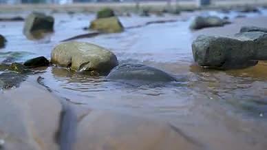海边沙滩石头水流视频的预览图